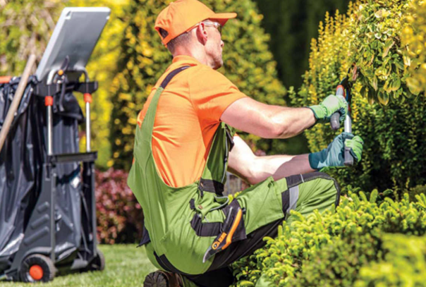 Jardineros Oportunidad de empleos